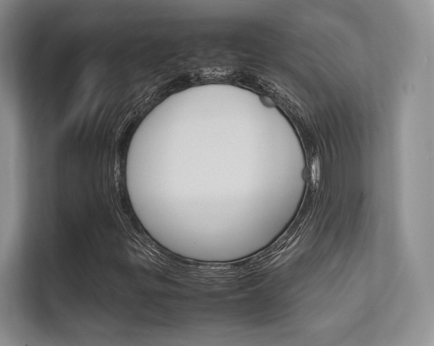X0000112401299200908140956
