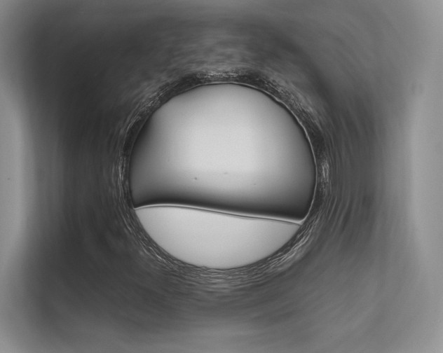 X0000112401300200908140956