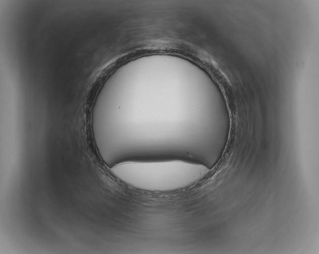 X0000112401304200908140957