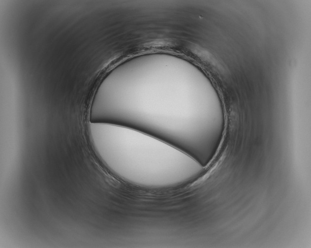 X0000112401305200908140957