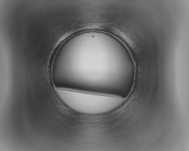 X0000112401308200908140957