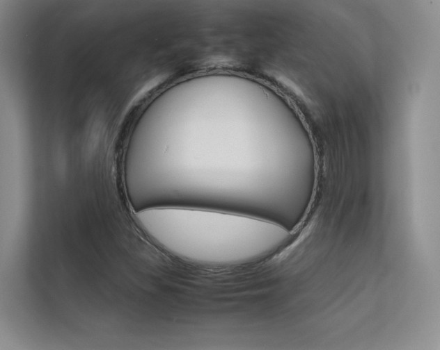 X0000112401309200908140957