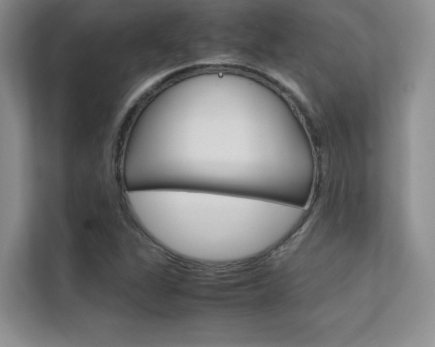 X0000112401311200908140957