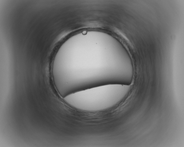 X0000112401315200908140957
