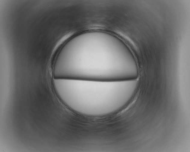 X0000112401317200908140957