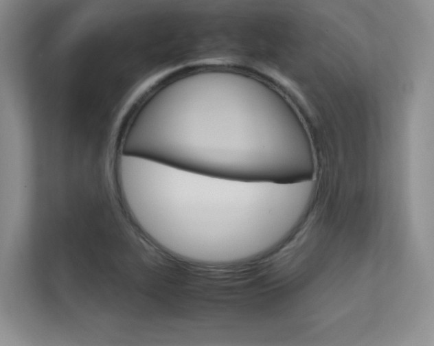 X0000112401319200908140957