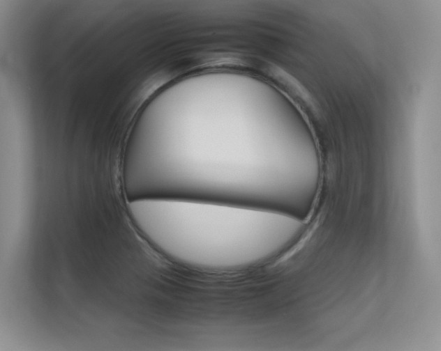 X0000112401321200908140957