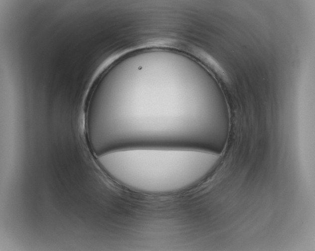 X0000112401324200908140957