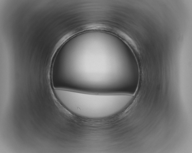X0000112401330200908140957