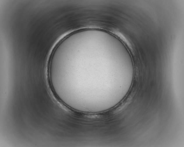 X0000112401331200908140957
