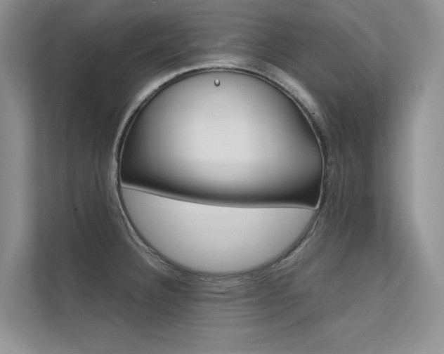 X0000112401332200908140957