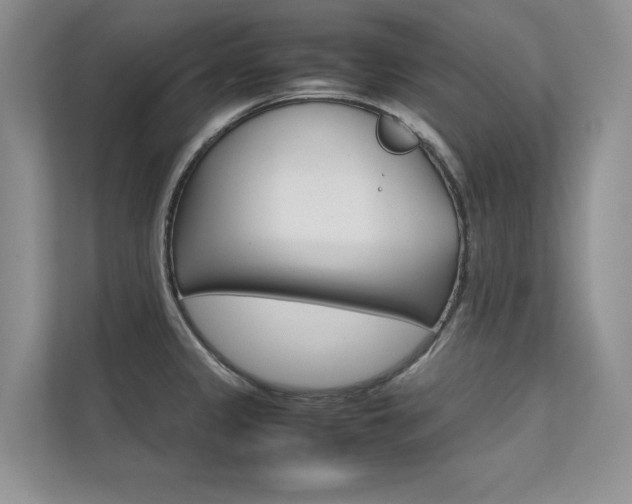X0000112401333200908140957