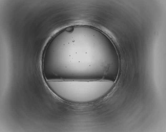 X0000112401334200908140957