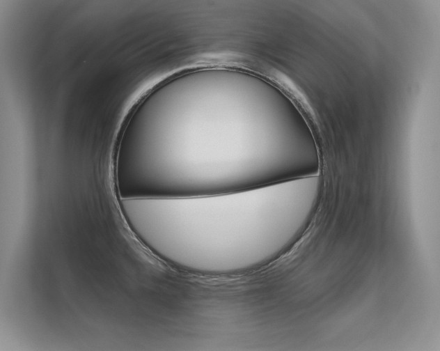 X0000112401336200908140957