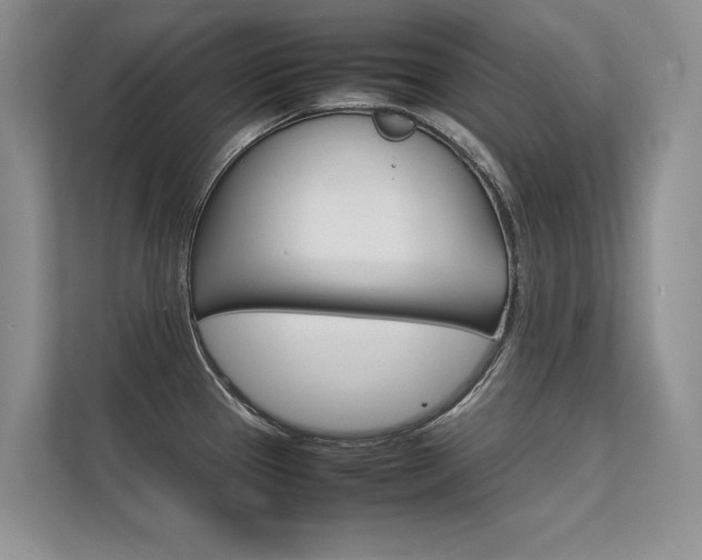 X0000112401337200908140957