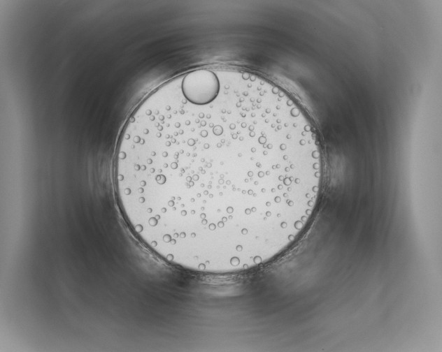 X0000112401338200908140957