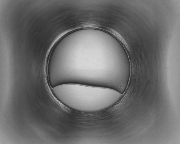 X0000112401339200908140957