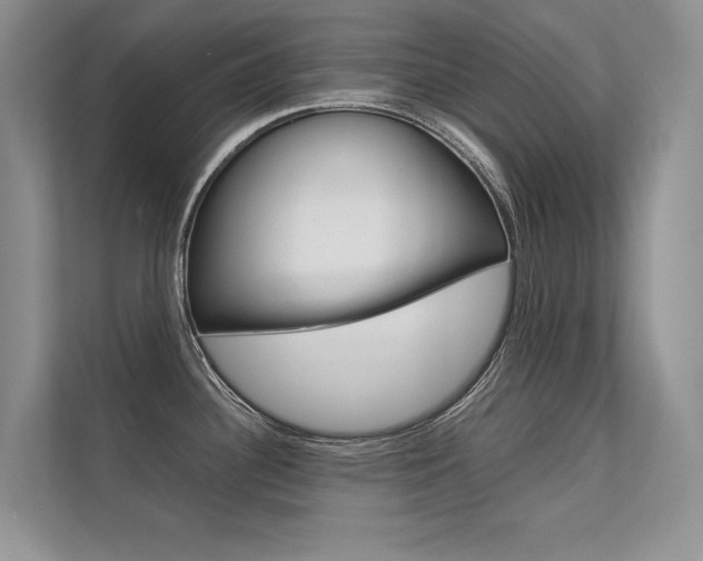 X0000112401340200908140957