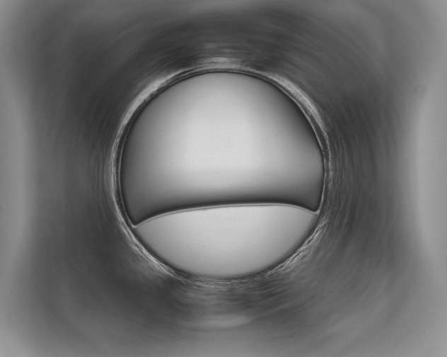 X0000112401341200908140957