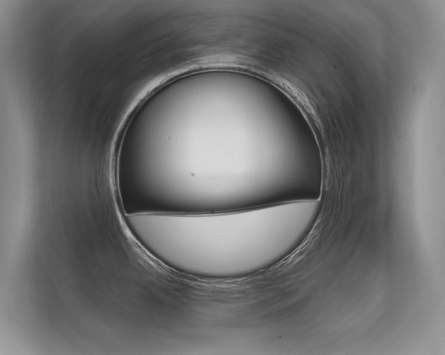 X0000112401342200908140957