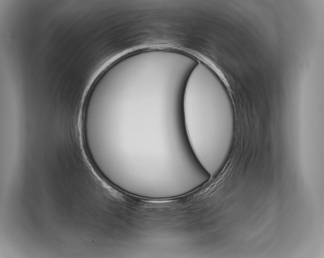 X0000112401343200908140957