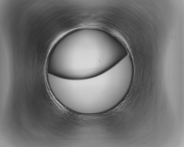 X0000112401344200908140957