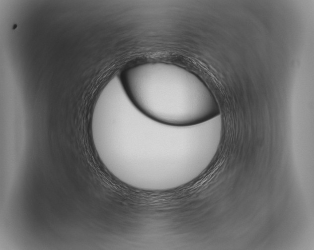 X0000112401345200908140956