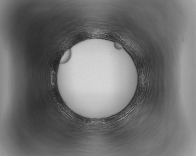 X0000112401346200908140956