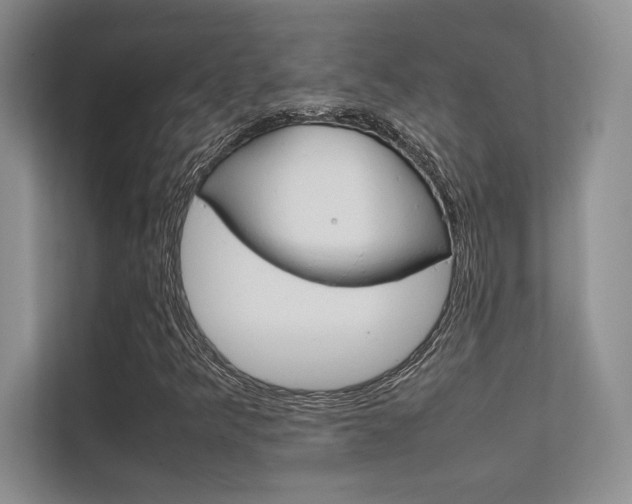 X0000112401349200908140956