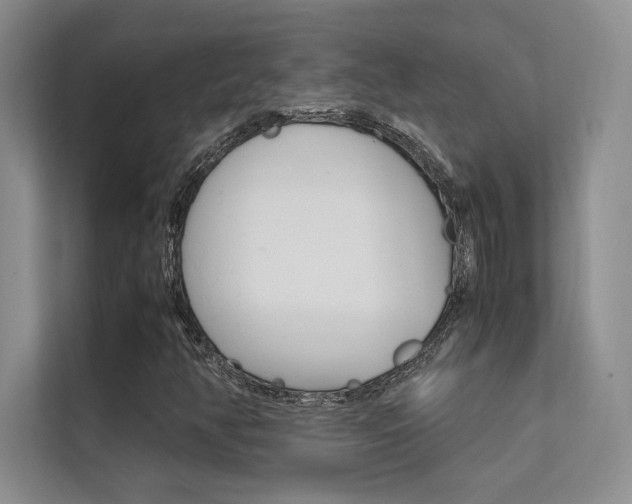 X0000112401350200908140956