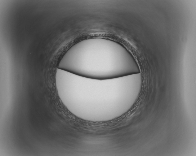 X0000112401351200908140956