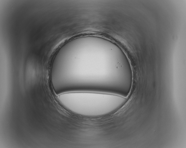 X0000112401355200908140956