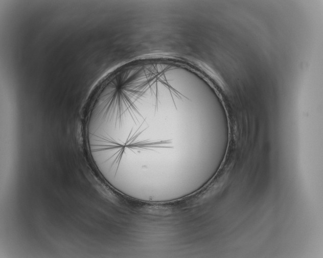 X0000112401356200908140956