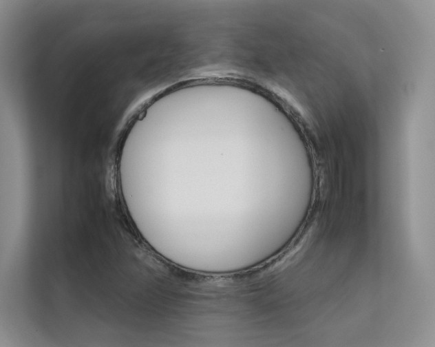 X0000112401358200908140956
