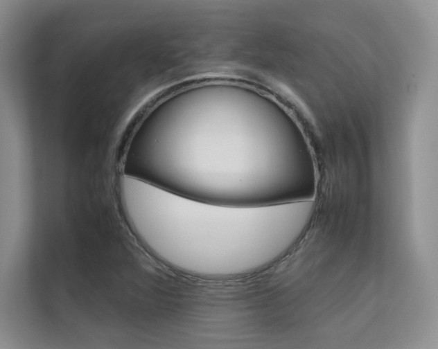 X0000112401360200908140956