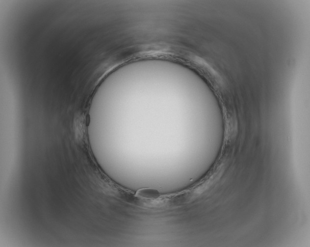 X0000112401361200908140956