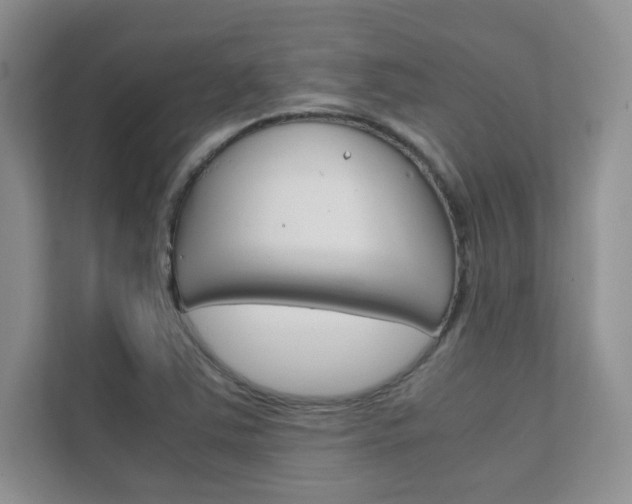X0000112401363200908140956