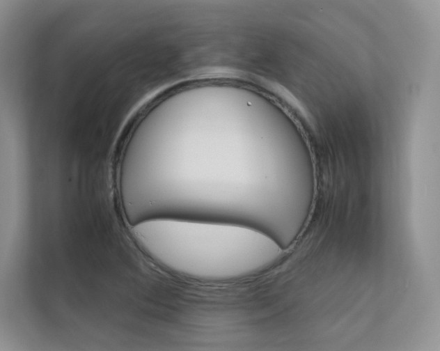 X0000112401364200908140956