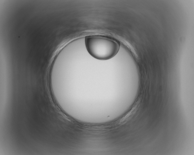 X0000112401365200908140956
