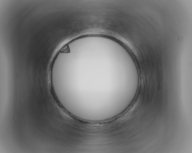 X0000112401366200908140956