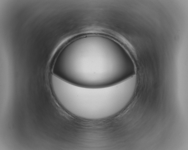 X0000112401368200908140956