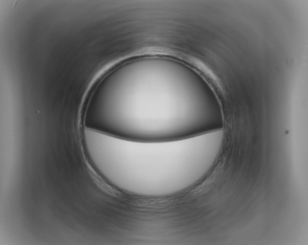 X0000112401372200908140956