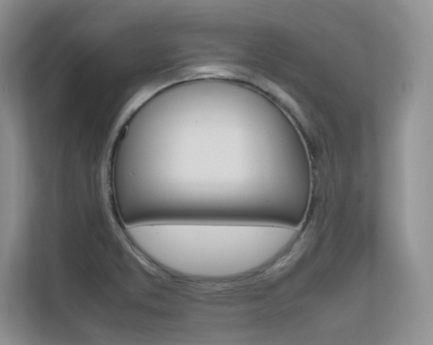X0000112401373200908140956