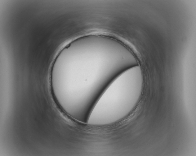 X0000112401375200908140956
