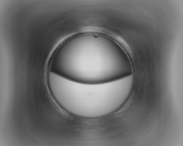 X0000112401376200908140956