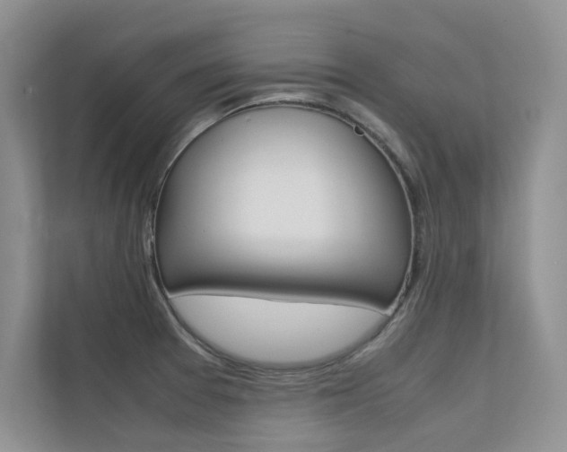 X0000112401377200908140956