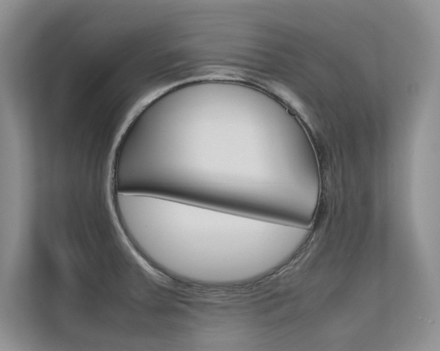 X0000112401379200908140956