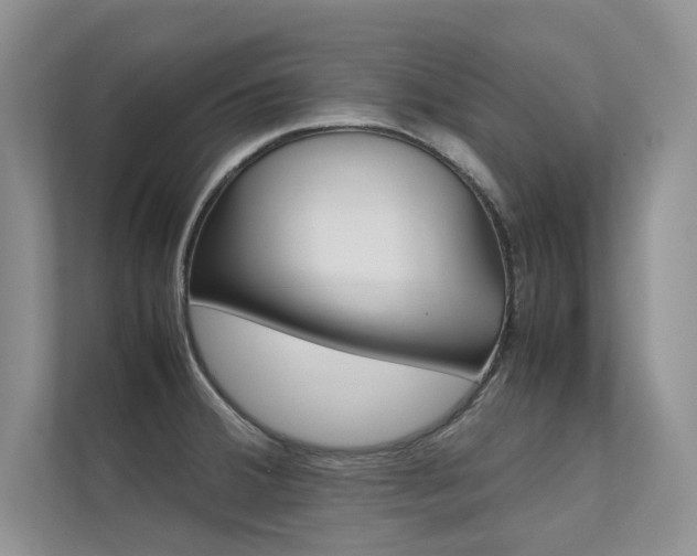 X0000112401380200908140956