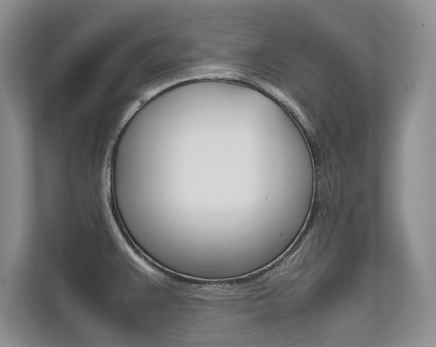 X0000112401383200908140956