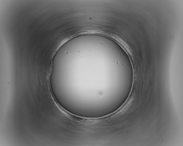 X0000112401385200908140956